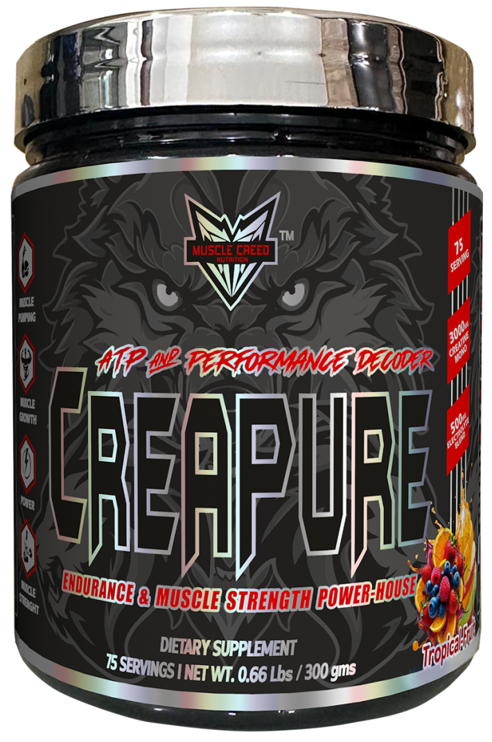 SOURCE 7 Protein